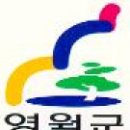 영월군정신건강복지센터 이미지