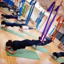 로제요가발레핏&이엠에스센터 | 동대문구 답십리동 필라테스 로제 플라잉요가 & 필라테스 답십리점 비용 주소 이벤트