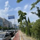 외솔큰길 | 울산 동천 야외물놀이장 개장 방문 후기 (예약, 주차, 준비물, 이용 팁)
