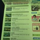 영암슈퍼 | 아이들과 2025 전남GT - 영암 F1 국제 자동차 경주장 다녀왔어요