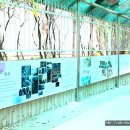 아뜰리에어린이집 이미지