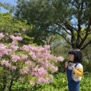 임천면 가림어울림센터 2층 | 넘버블럭스 뮤지컬 국립중앙박물관 1층 O열 시야 주차팁