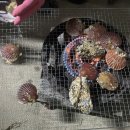 동주유통 | 백수의 삶