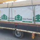 석등슬치로 이미지