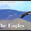 호텔 캘리포니아 이미지