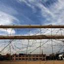 강경중앙초등학교 이미지