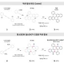 [울산광역매일]울산과기원, 새 반도체 가능성 열었다 이미지