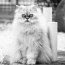 가가약국 이미지