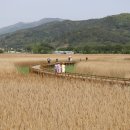 태백산맥거리1 이미지