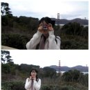 각자의취향