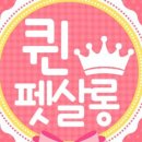 퀸펫살롱 이미지