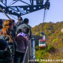 내장산 관광안내소 이미지