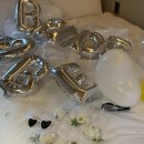 일월일지 이미지