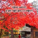 광천목장 이미지