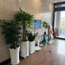 제주여관 이미지