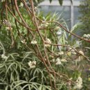 청목전자 이미지