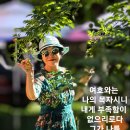 여행스케치유 이미지