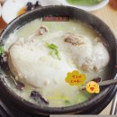 뚱순이네 이미지