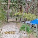 당동솔밭가든 이미지