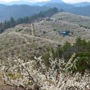 학마을농장 이미지