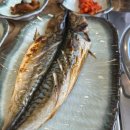 최루백로 이미지