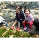 석민농장 Daum카페