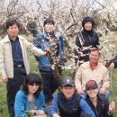 매화농장 이미지