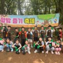 드림153어린이집 이미지