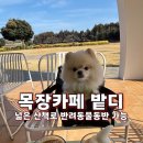 제일목장 | 제주 표선 애견동반 카페 | 목장카페 밭디 넓은 산책로 후기