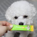 펫노우