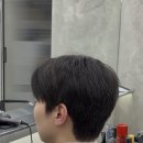 마이트로포(Maitroppo)