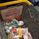 건대 이마트 총알오징어, 갈비치킨 후기