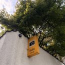 (주)그레이스케일 | 청담그레이스케일 웨딩스튜디오 후회없는 선택 대만족!! 서울숲 포함 후기사진 있음