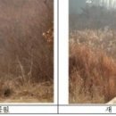 도심공원 이미지