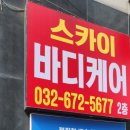 스카이바디케어 이미지