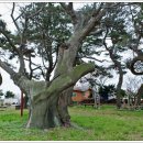 구룡장어식당 이미지