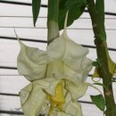 트리플농장 이미지