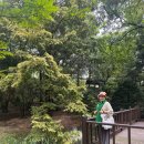 지도 왕벚나무길 | [짬짬이 다니는 나들이] 짬들이: 도심 속 푸른 우주, 홍릉숲(국립산림과학원) (feat.전투적인 스탬프...