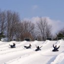 서해스파랜드 | 에버랜드 스노우버스터 12월 12일 오픈│캐리비안베이 투파크 혜택 총정리