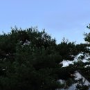 삼척여인숙 | 조용한 강원도 독채 펜션 삼척 스텔라빌리지