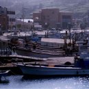 도락민박 이미지