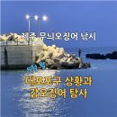 대포포구2 | 제주 무늬오징어 낚시 | 5월 말 대포포구 상황과 갑오징어 탐사