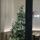 태전농장 | 부산 해운대 분위기 좋은 레스토랑 추천 양식 맛집 스미스씨네 농장 내돈내산 솔직후기