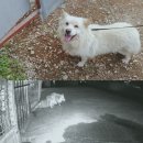 귀재농장 이미지