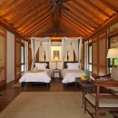 니도(Nido) 이미지