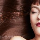 알헤어 - 경주시 | 알헤어