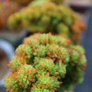 후선 농장 이미지