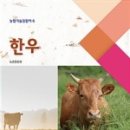 한우이야기 이미지