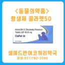 코끼리 동물약국 이미지