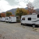 하이드온부쉬 이미지